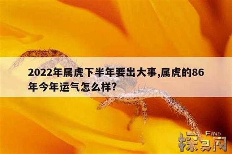 2021年属虎下半年要出大事