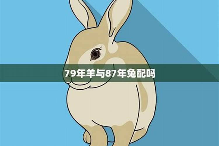 82年属狗与87年的兔