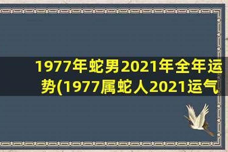 2021蛇年男的运势1977