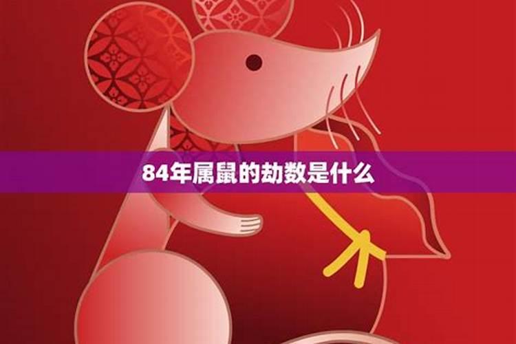 84年属鼠的2021