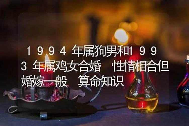 1994年属狗与1993年属鸡相配吗