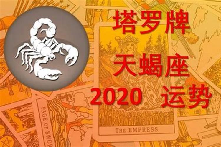 天蝎座2020财运