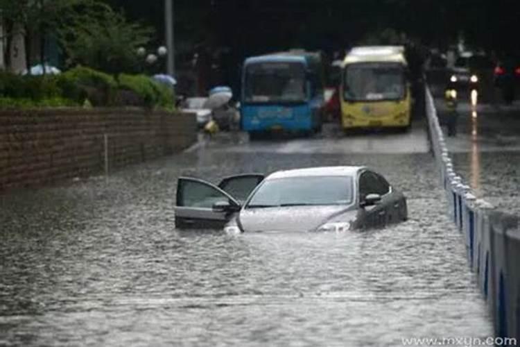 梦见洪水把鱼冲走了