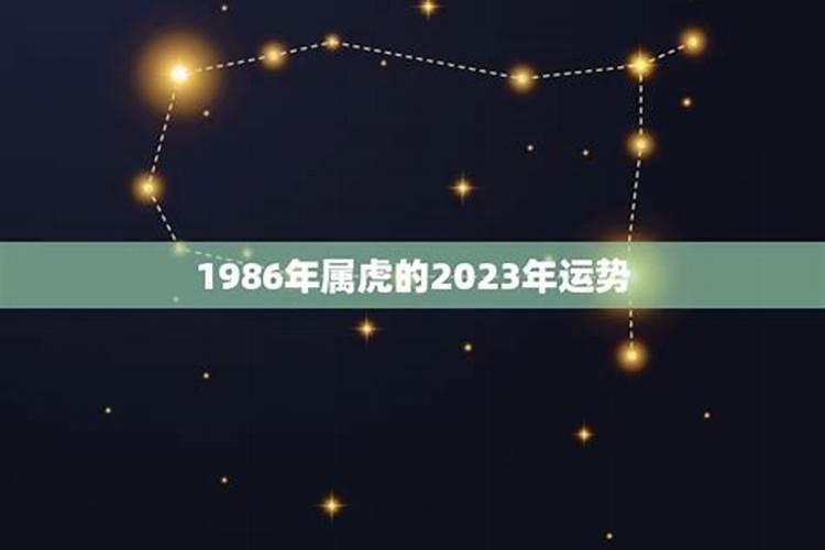 1986年属虎运势