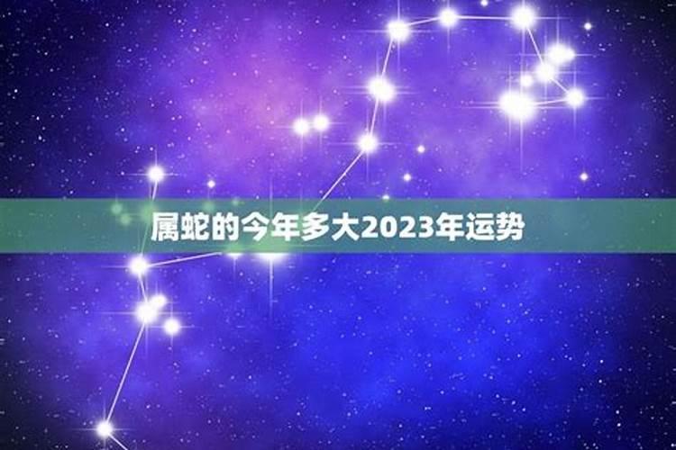 2023属蛇的今年多大