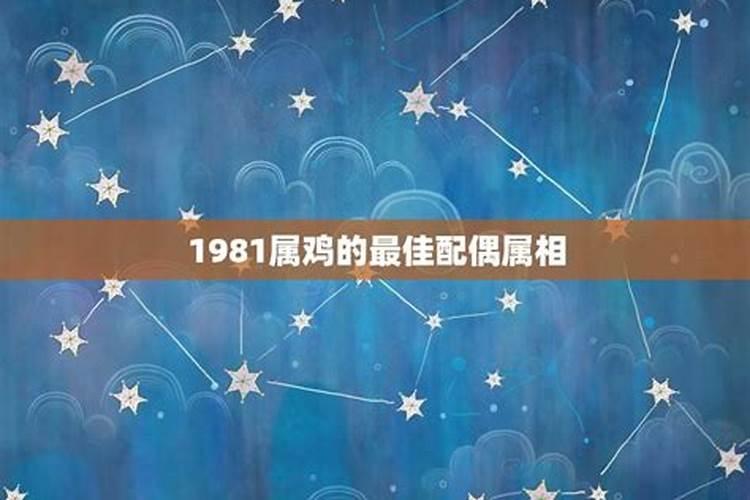 1981年属鸡人最佳配偶