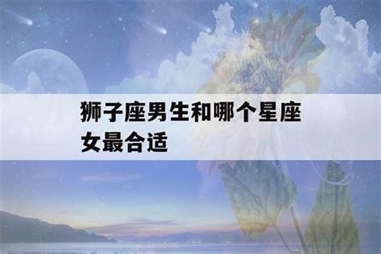 狮子座和那个星座合适