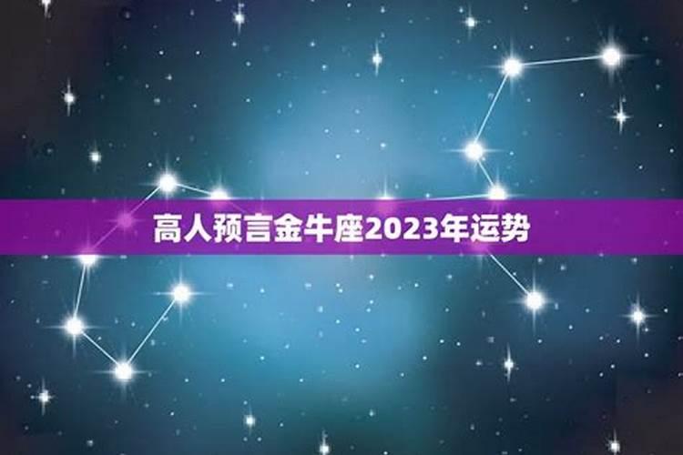 金牛男2023年爱情运势