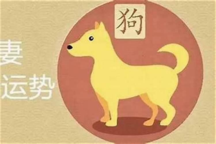 属兔婚配猴属相最好吗