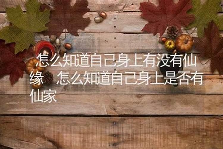 有仙缘的人阴债怎么还