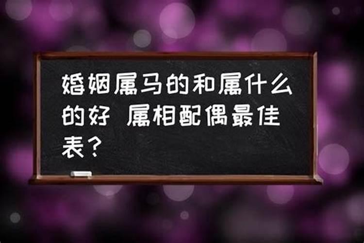 属马的配偶最佳属相是什么