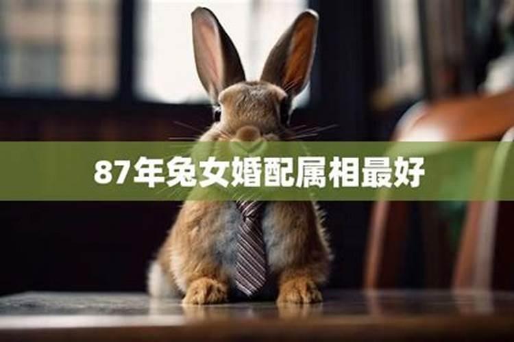 87年兔婚姻最佳属相