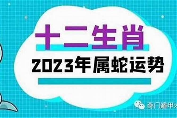 今年属蛇人的全年运势2023年