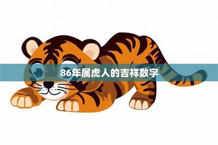 86年属虎的吉祥数字是什么