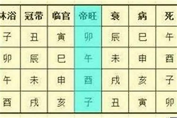 八字里子女宫代表什么