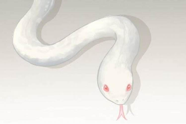 梦见蛇是什么预兆怎么解释