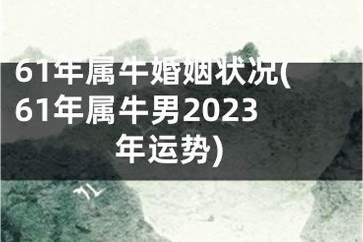 61年属牛人的婚姻