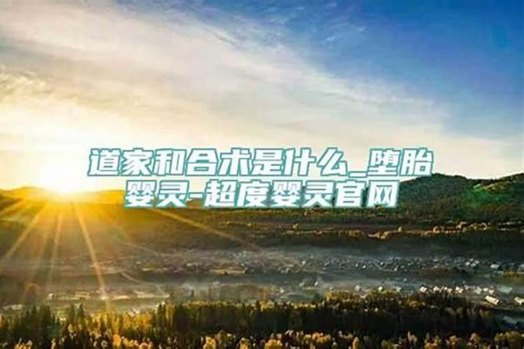 2023年犯太岁的四大生肖