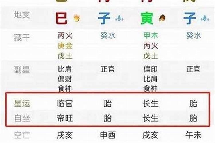 八字星运墓是什么意思