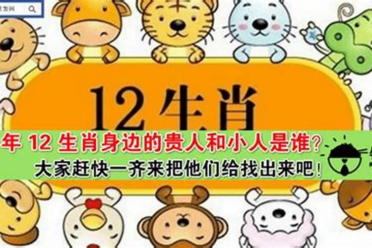 12属相的贵人和小人