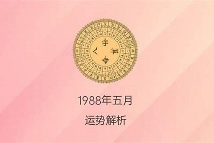 1988年二月初二男命运怎么样