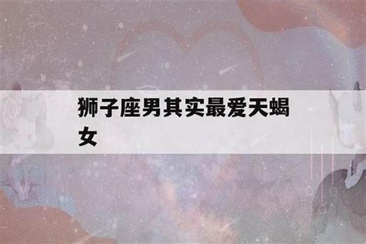 天蝎喜欢狮子,狮子太笨看不出来