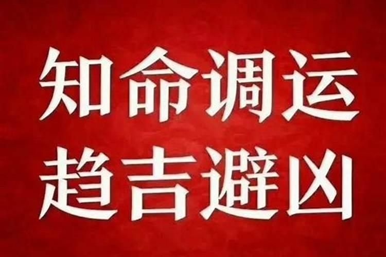 不适合考公务员的八字