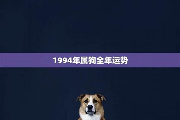 1994年属狗的财运方位在哪