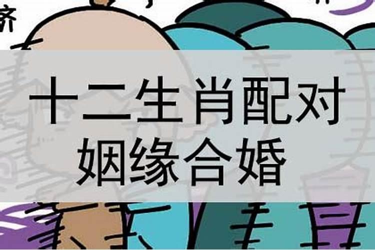 属相算姻缘可信吗