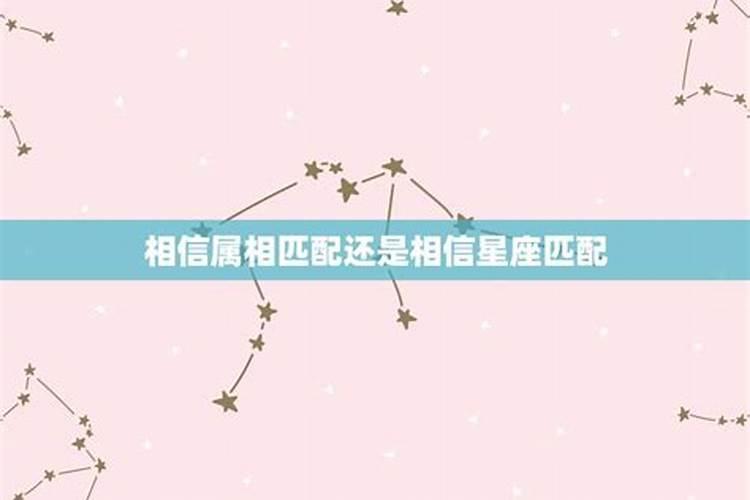 相信婚配属相吗