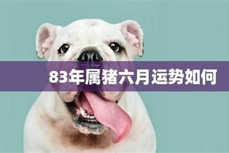 龙生肖2023年下半年运势大全