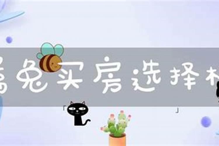 生肖兔买房楼层吉利数字