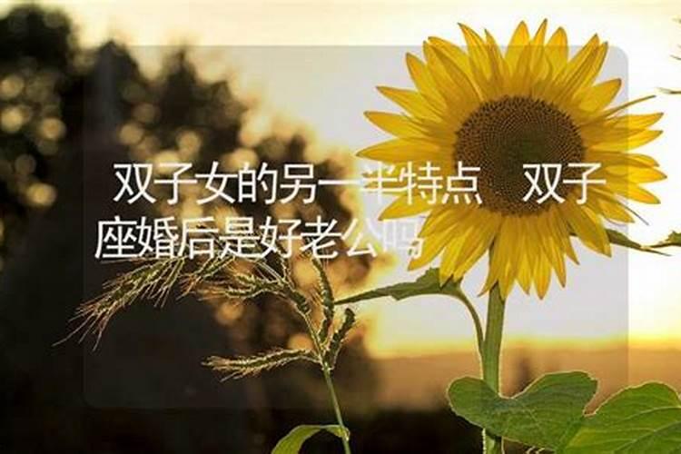 双子座的另一半是谁