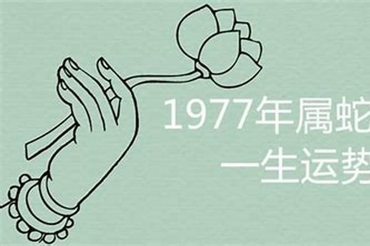 77年属蛇女一生财运