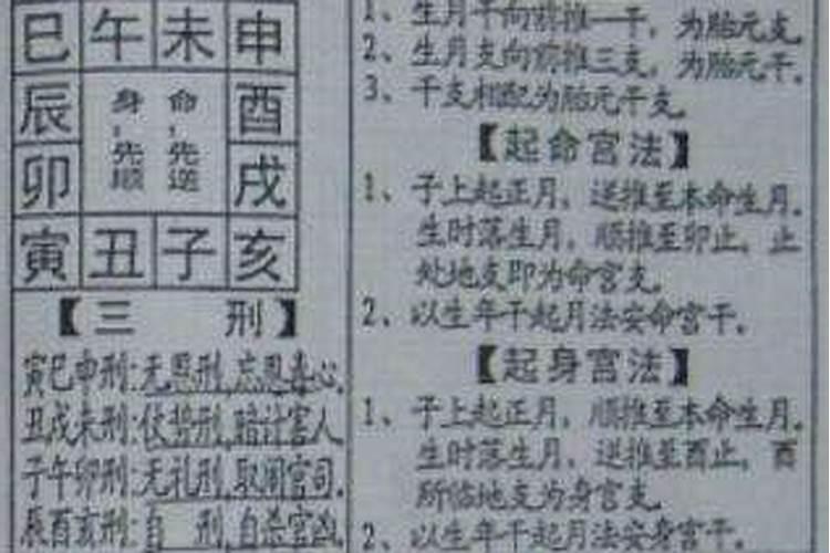 八字算命中的胎元是什么意思