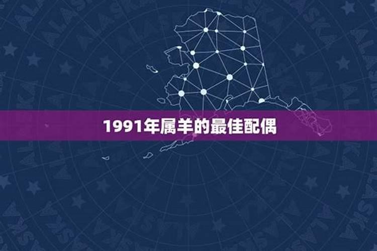 1991年男属羊最佳婚配属相