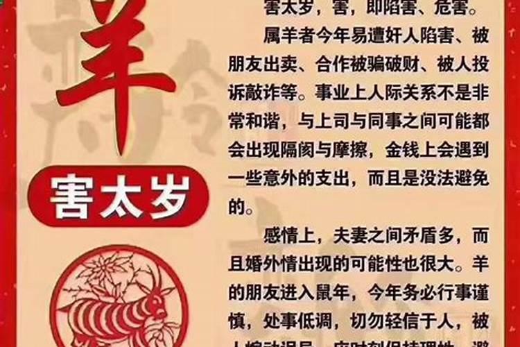 父母与宝宝属相相冲会有什么影响