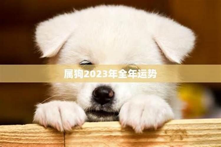 九四年的狗2023年运势