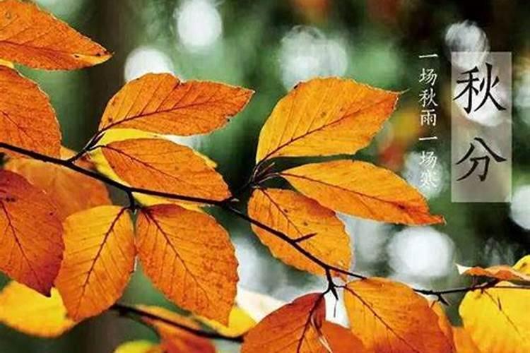 秋分节气应该注意什么