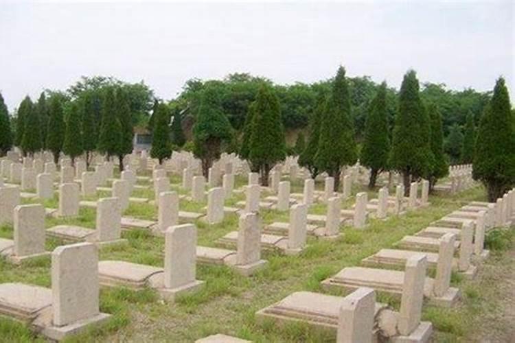 选墓地与死者八字有关系吗为什么