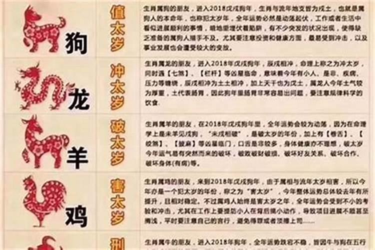 属蛇的买楼房几层最好