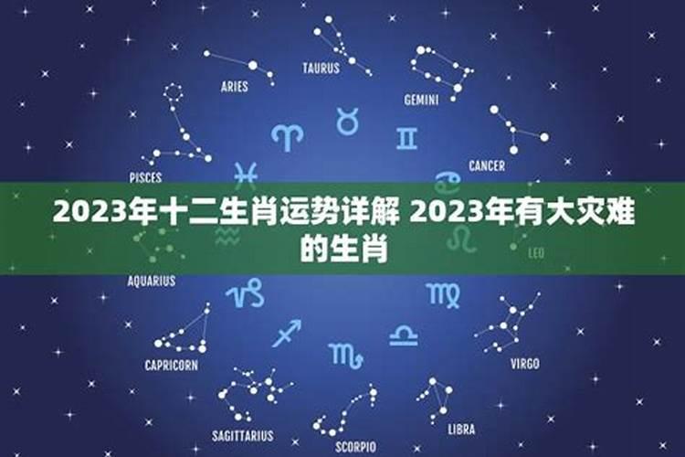 2023年犯灾星属相