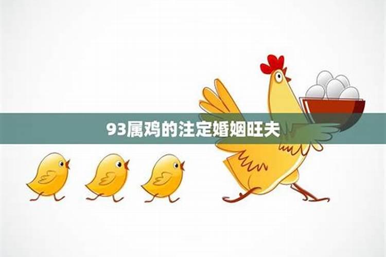 属鸡人命中注定的另一半属猪