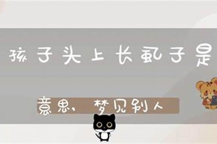 梦见孩子头上长虱子卵