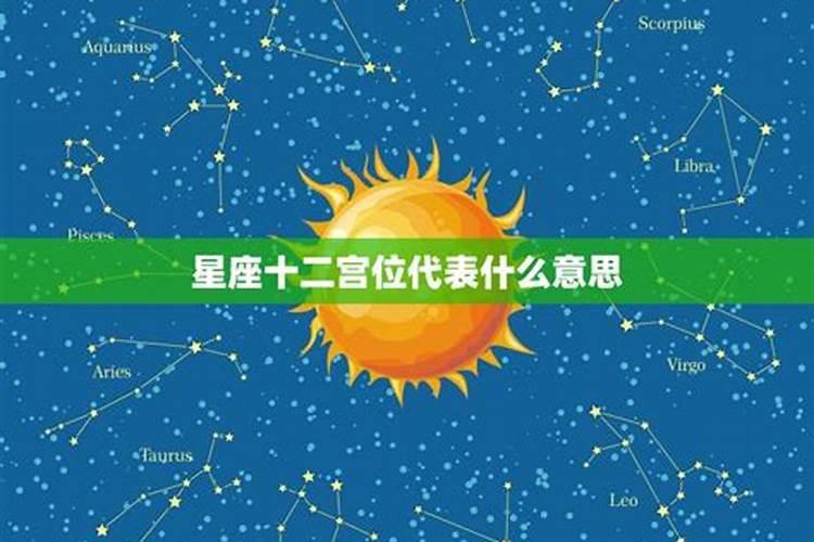 十二星座四大星象