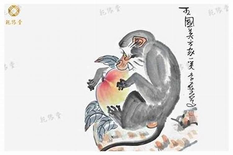 属猴人桃花运旺年份