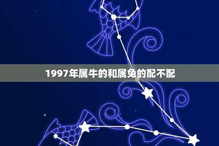 1997年属牛的和属兔的合适吗