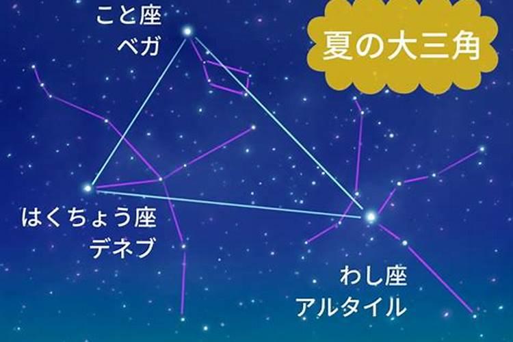 星座8.1