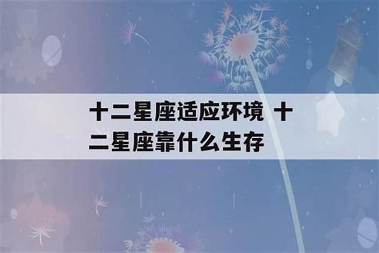 十二星座生存能力