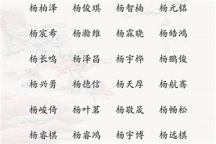 姓杨属虎男孩名字大全四个字